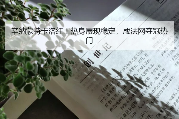 xin-na-meng-te-ka-luo-hong-tu-re-shen-zhan-xian-wen-ding-cheng-fa-wang-duo-guan-re-men-2-538.jpg