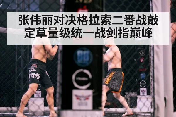 octagon cage fight